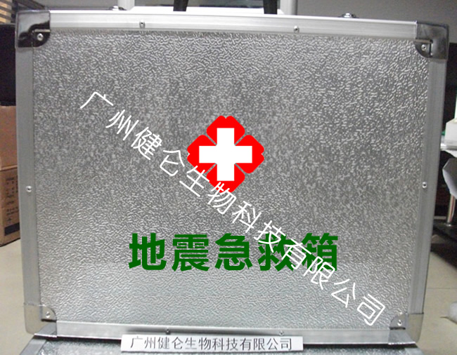 登革热检测试剂盒